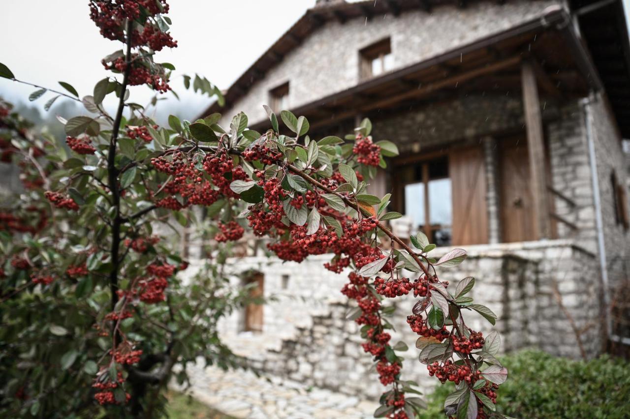 Villa Petrina Theohari à Lekhouri Extérieur photo