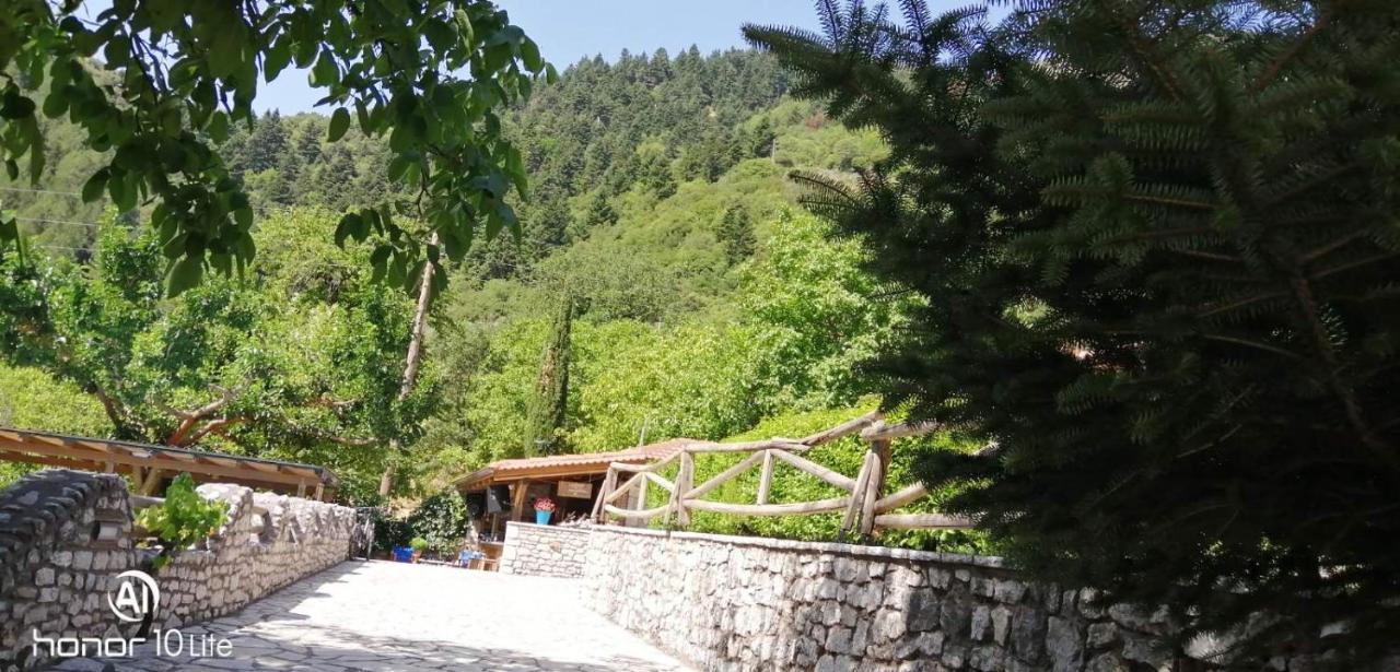 Villa Petrina Theohari à Lekhouri Extérieur photo