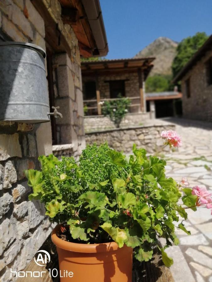 Villa Petrina Theohari à Lekhouri Extérieur photo
