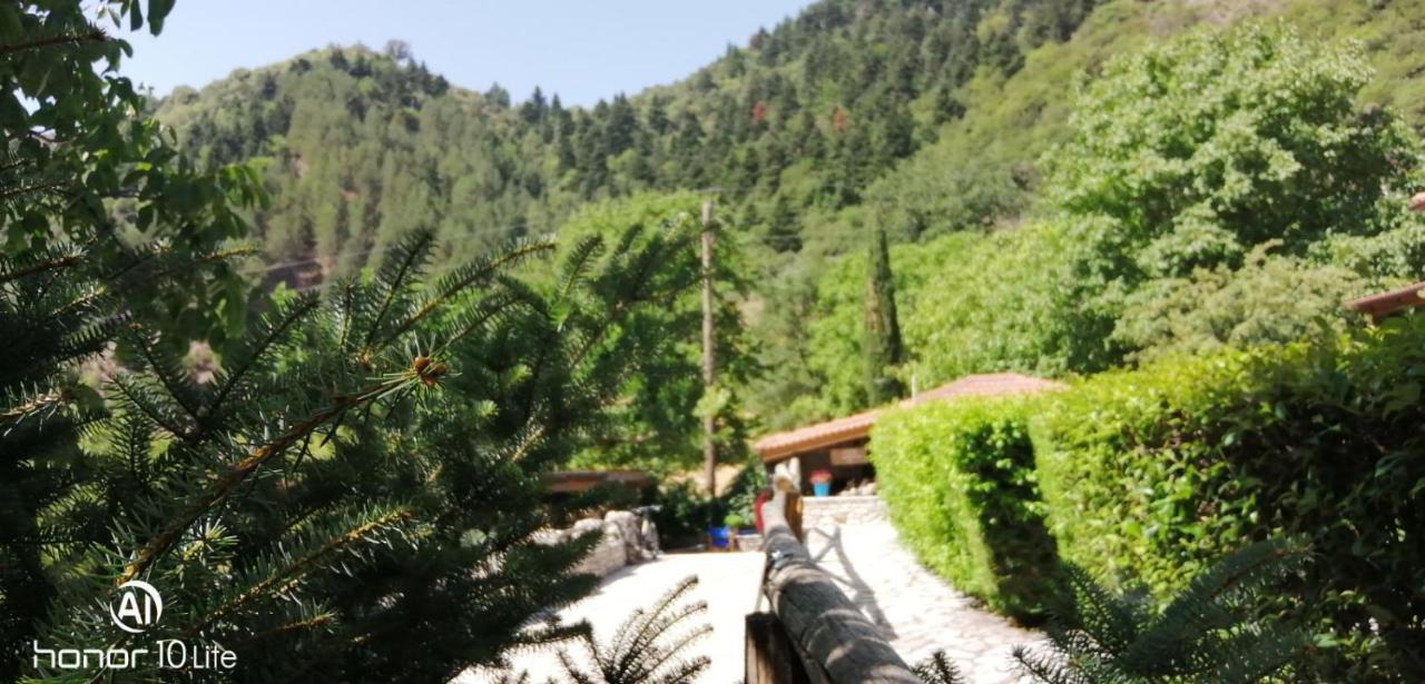 Villa Petrina Theohari à Lekhouri Extérieur photo